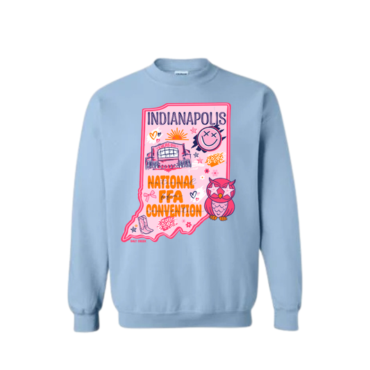 BLUE INDY STATE SWEATSHIRT- PLEASE READ DESCRIPTION